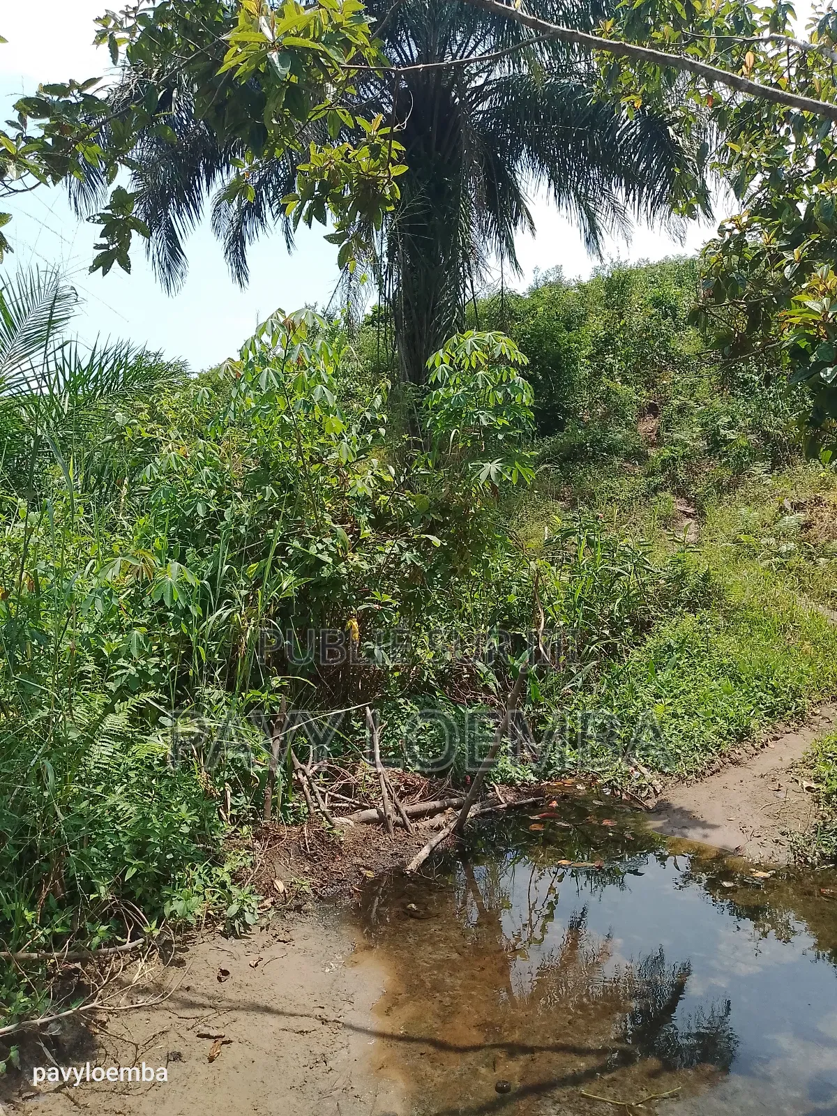 Terrain Vide À Vendre