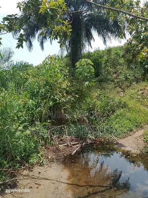 Terrain Vide À Vendre