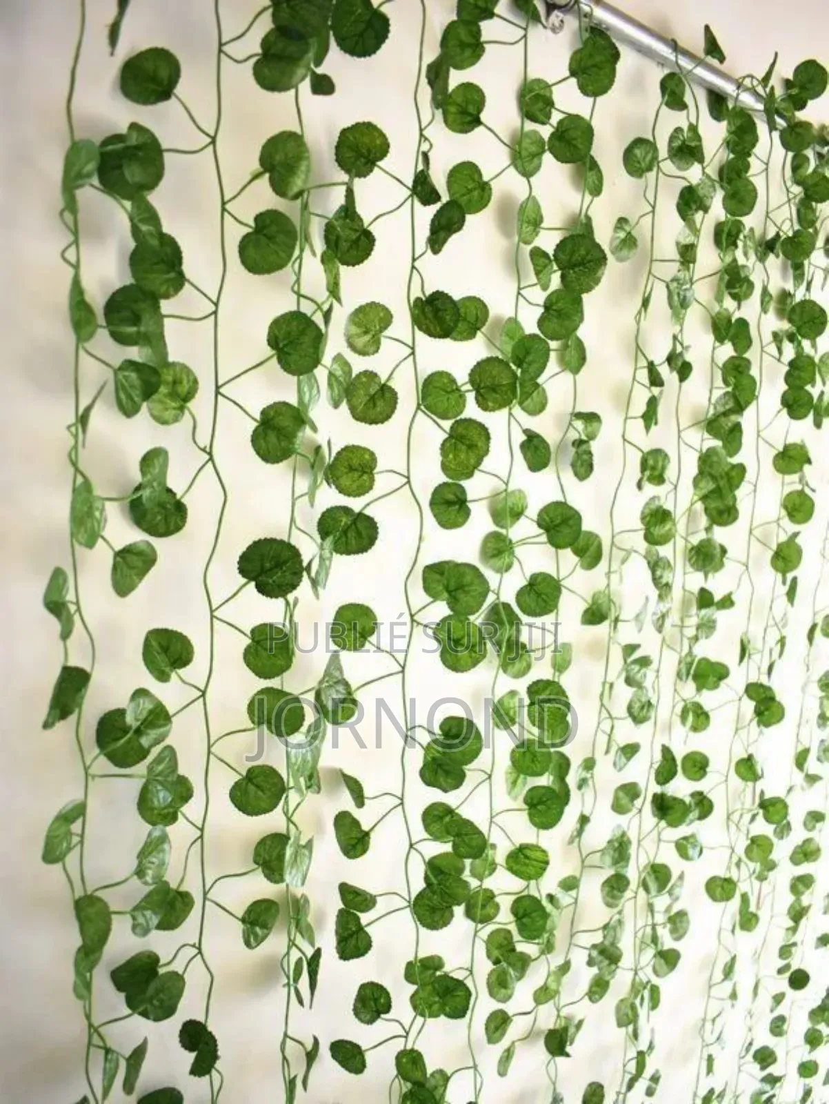 Lierres De Fleurs Décoratifs