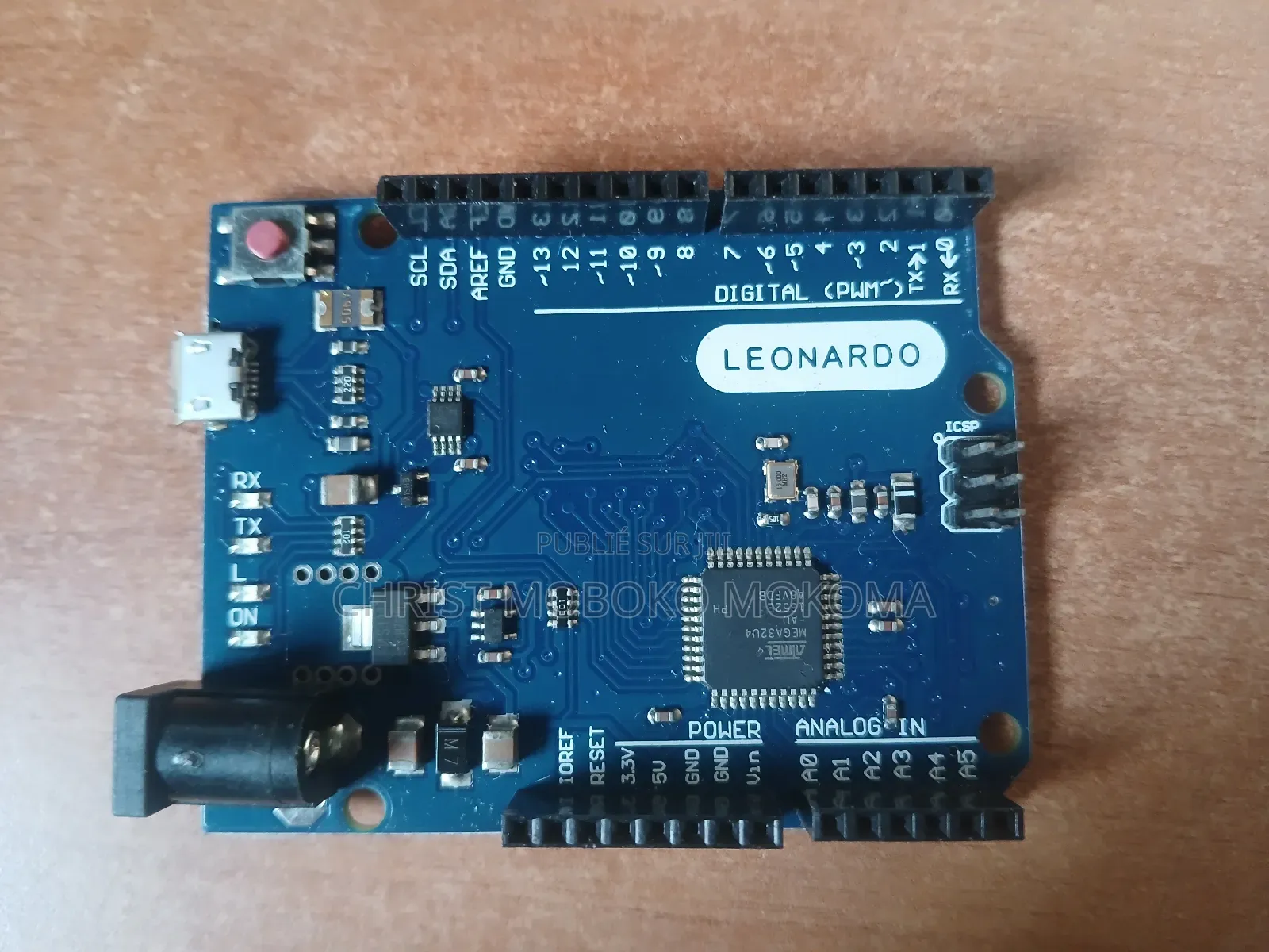 Leonardo Arduino