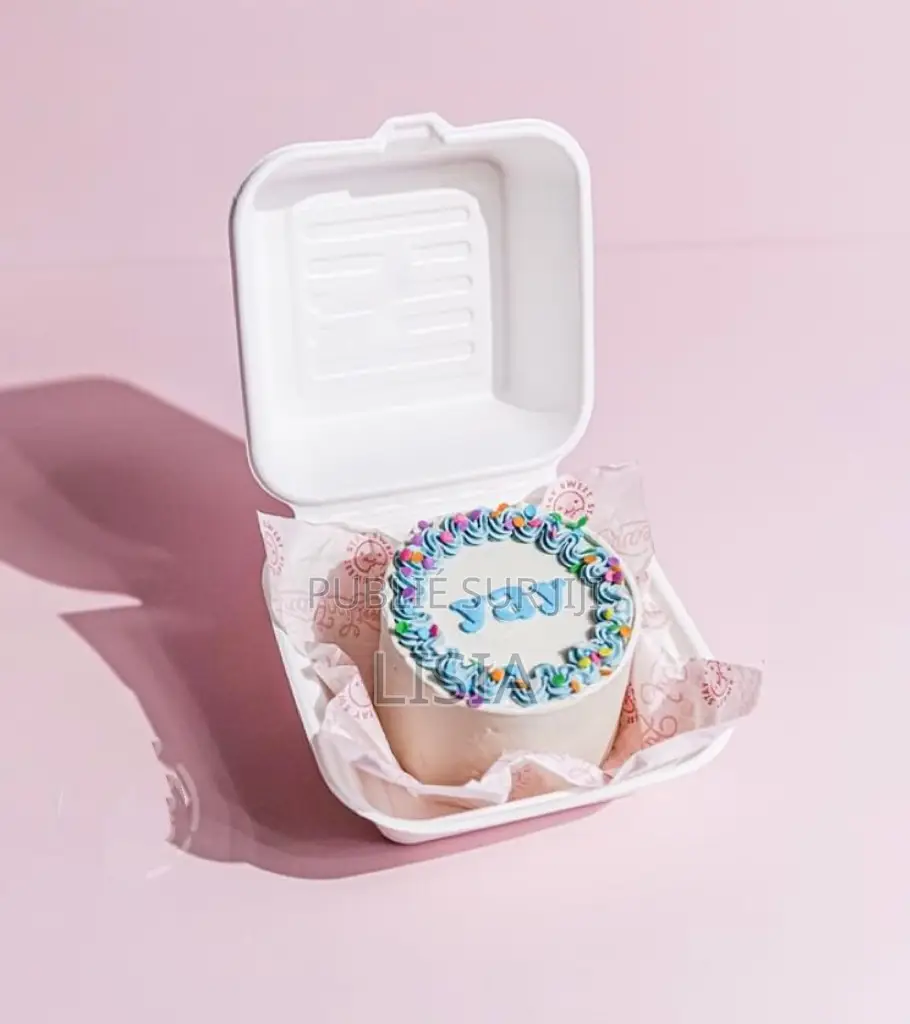 Le Bento Cake (Fait Maison)