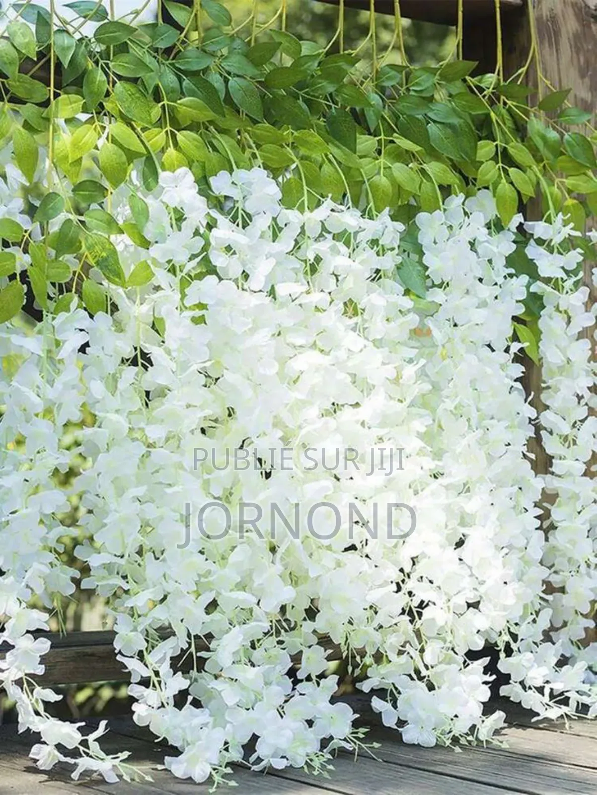 Tiges Des Fleurs Blanches