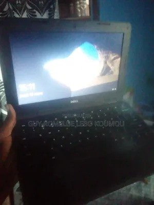 Ordinateur portable Dell Chromebook 11 2GB Autre SSD 16 GB