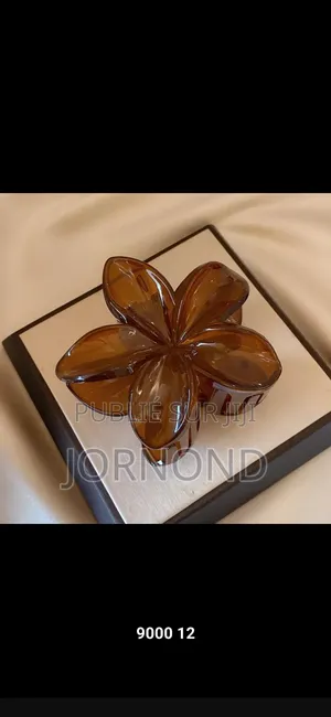 Pince À Cheveux en Forme De Fleur