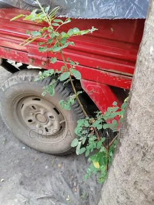 American Ironhorse Hachoir 2023 Rouge