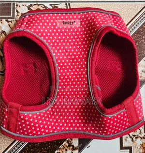 Harnais Pour Chiens Bon Etat