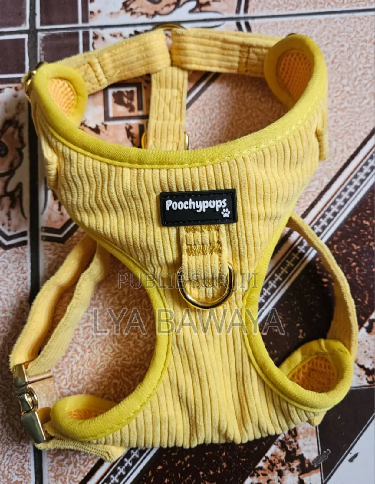 Harnais Pour Chiens Bon Etat