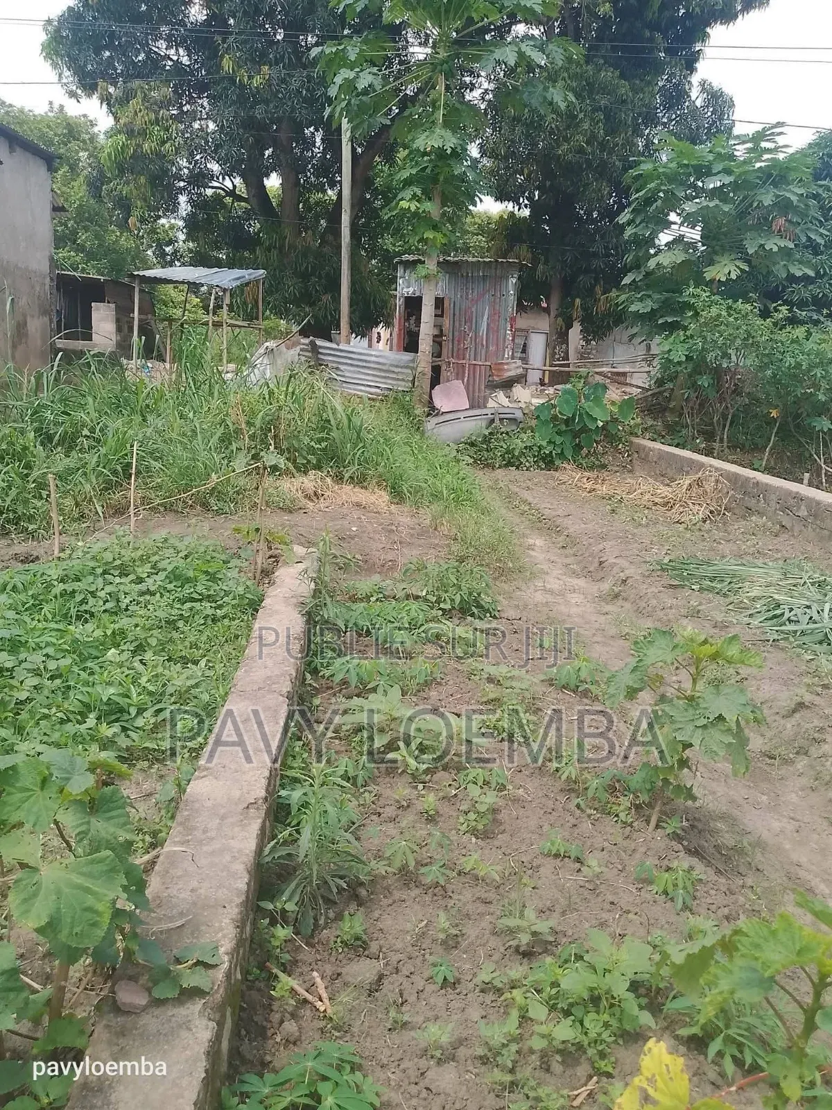 Terrain Vide À Vendre