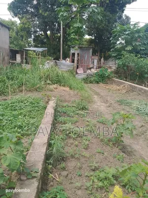 Terrain Vide À Vendre