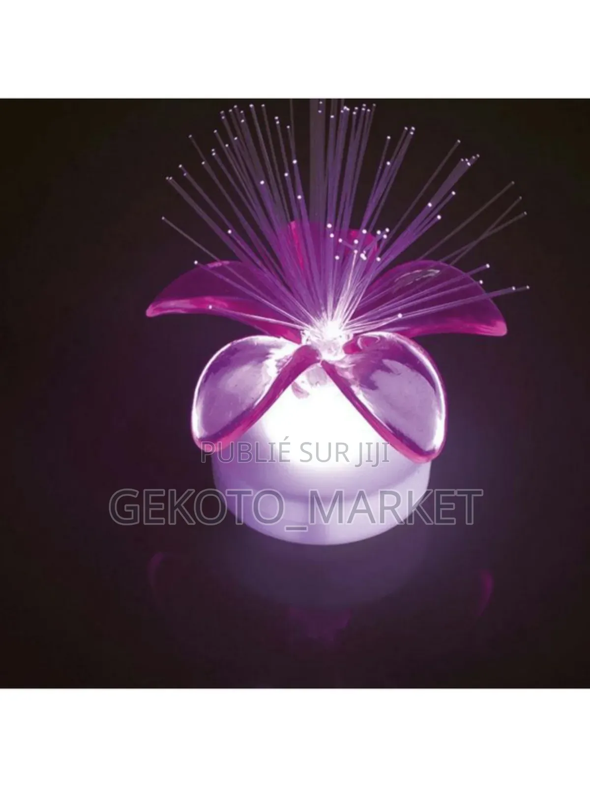 Pots De Fleurs Lumineux