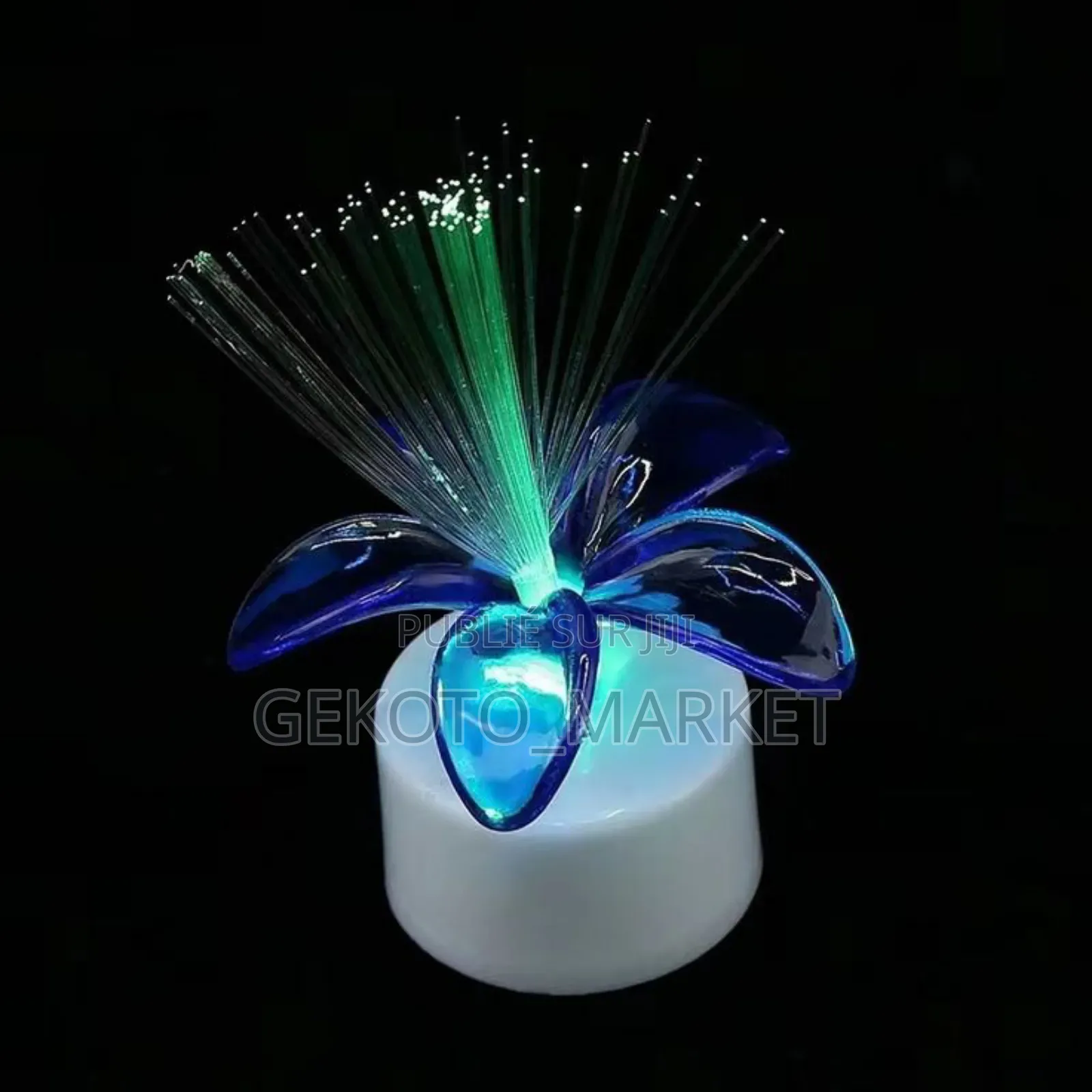 Pots De Fleurs Lumineux