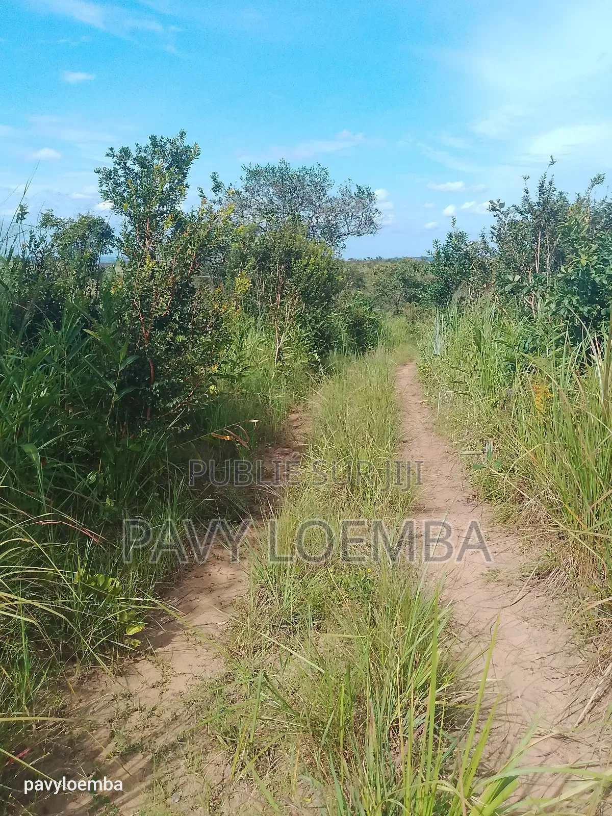 Terrain Vide À Vendre