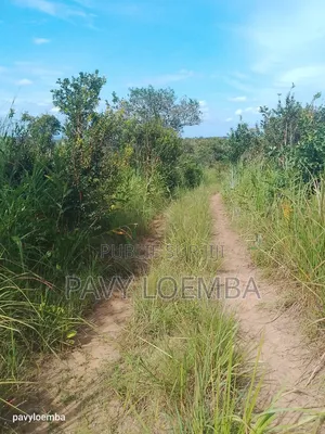 Terrain Vide À Vendre