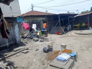 Parcelle Au Bord Du Goudron