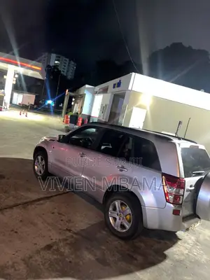 Toyota RAV4 2010 Gris