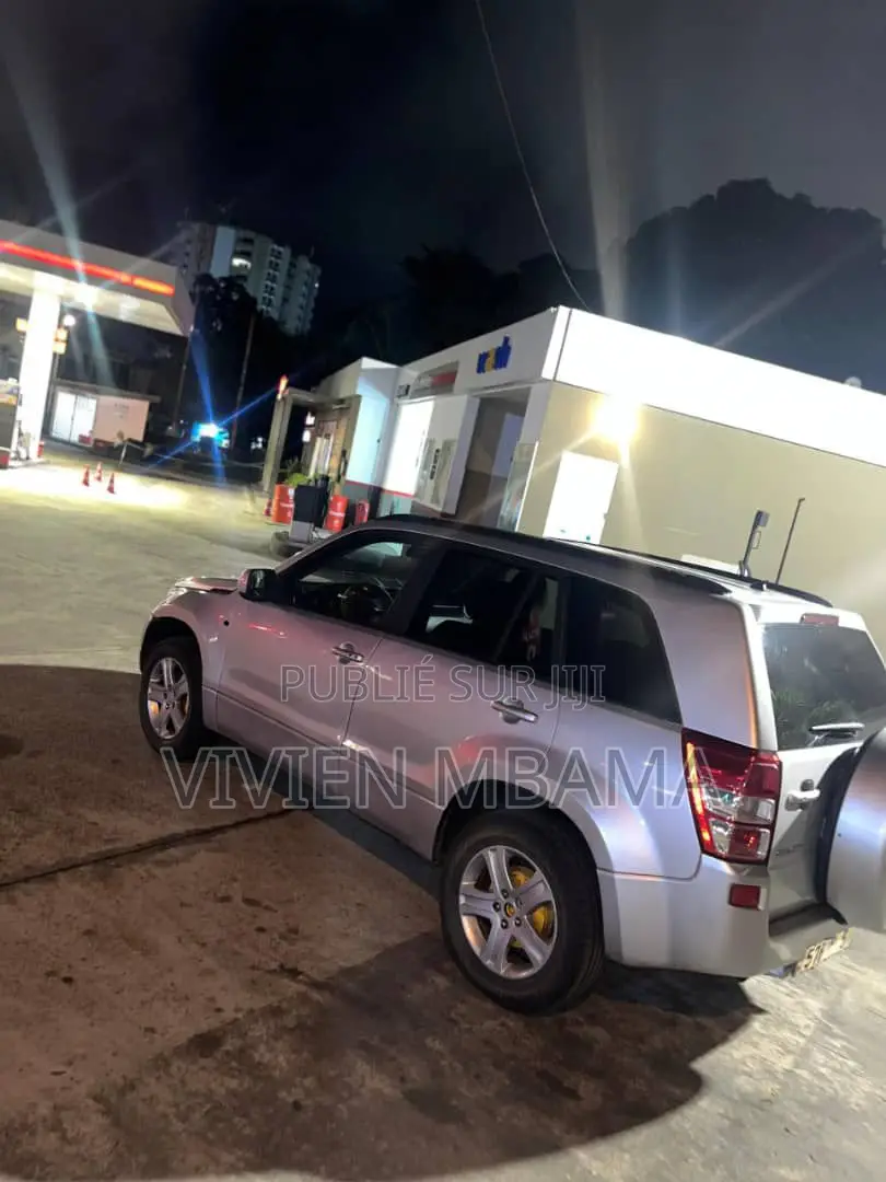 Toyota RAV4 2010 Gris