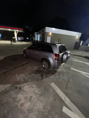 Toyota RAV4 2010 Gris