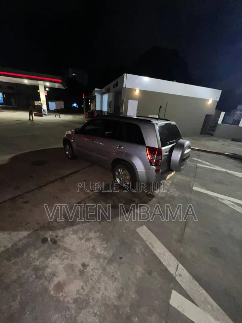 Toyota RAV4 2010 Gris