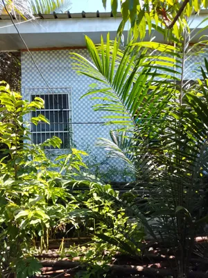 Demi Parcelle À Vendre