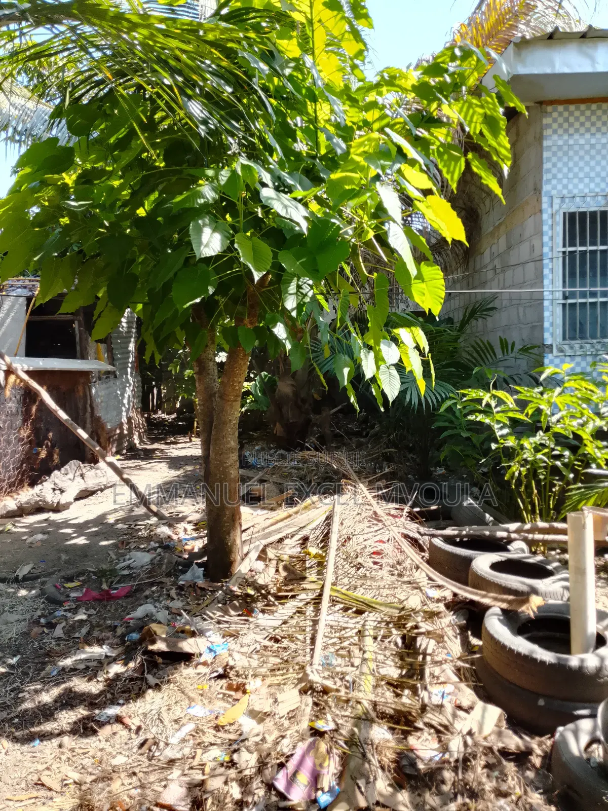 Demi Parcelle À Vendre