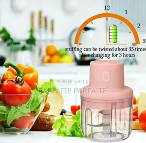 Mini Mixeur À Condiments