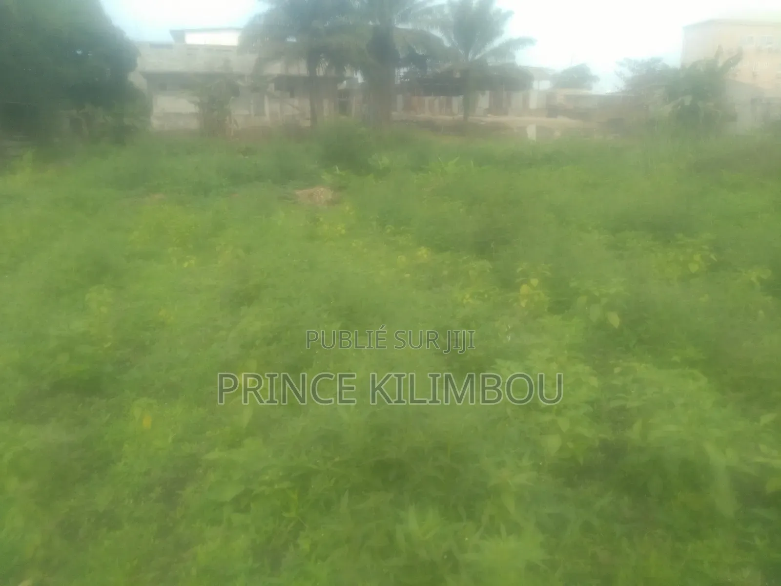 Parcelle À Vendre À Raffinerie