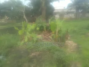 Parcelle À Vendre À Raffinerie