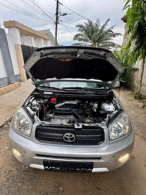 Toyota RAV4 2.0 4x4 Executive 2005 Gris