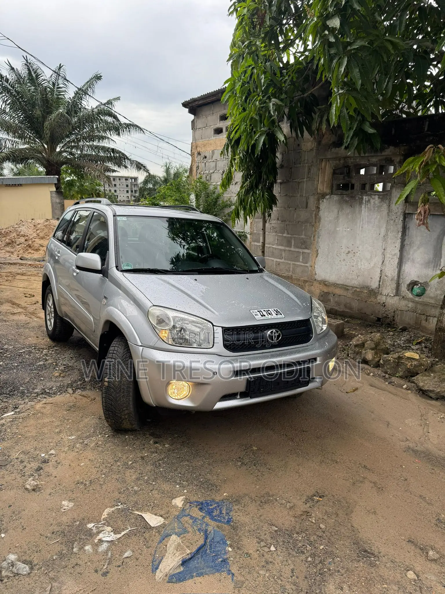 Toyota RAV4 2.0 4x4 Executive 2005 Gris