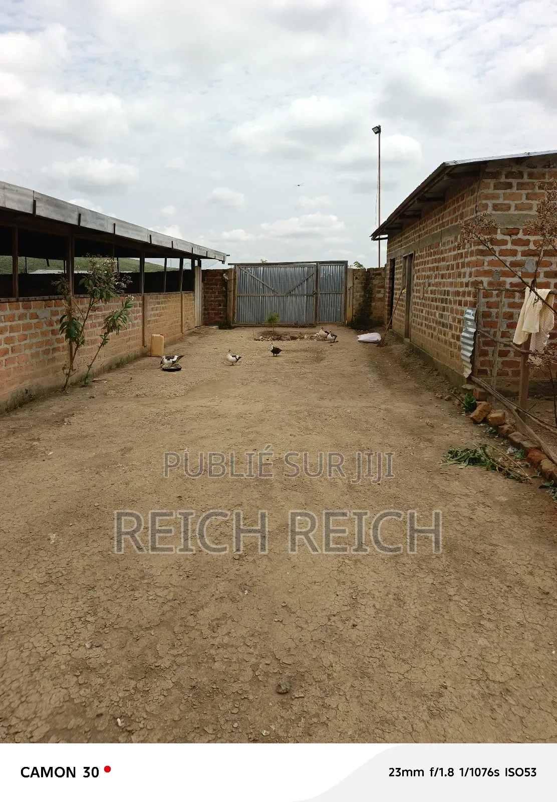 Ferme À Vendre À Dolisie