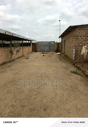 Ferme À Vendre À Dolisie