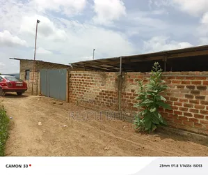 Ferme À Vendre À Dolisie