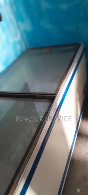 Congélateur Occasions d'Europe 1000 Litres