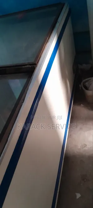 Congélateur Occasions d'Europe 1000 Litres