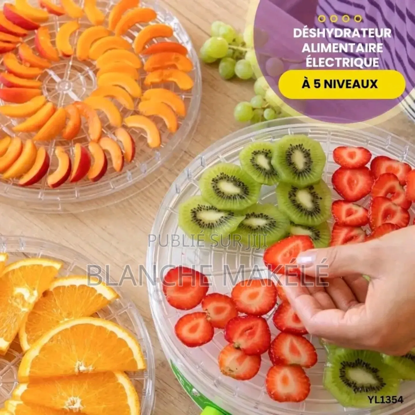Déshydrateur Alimentaire