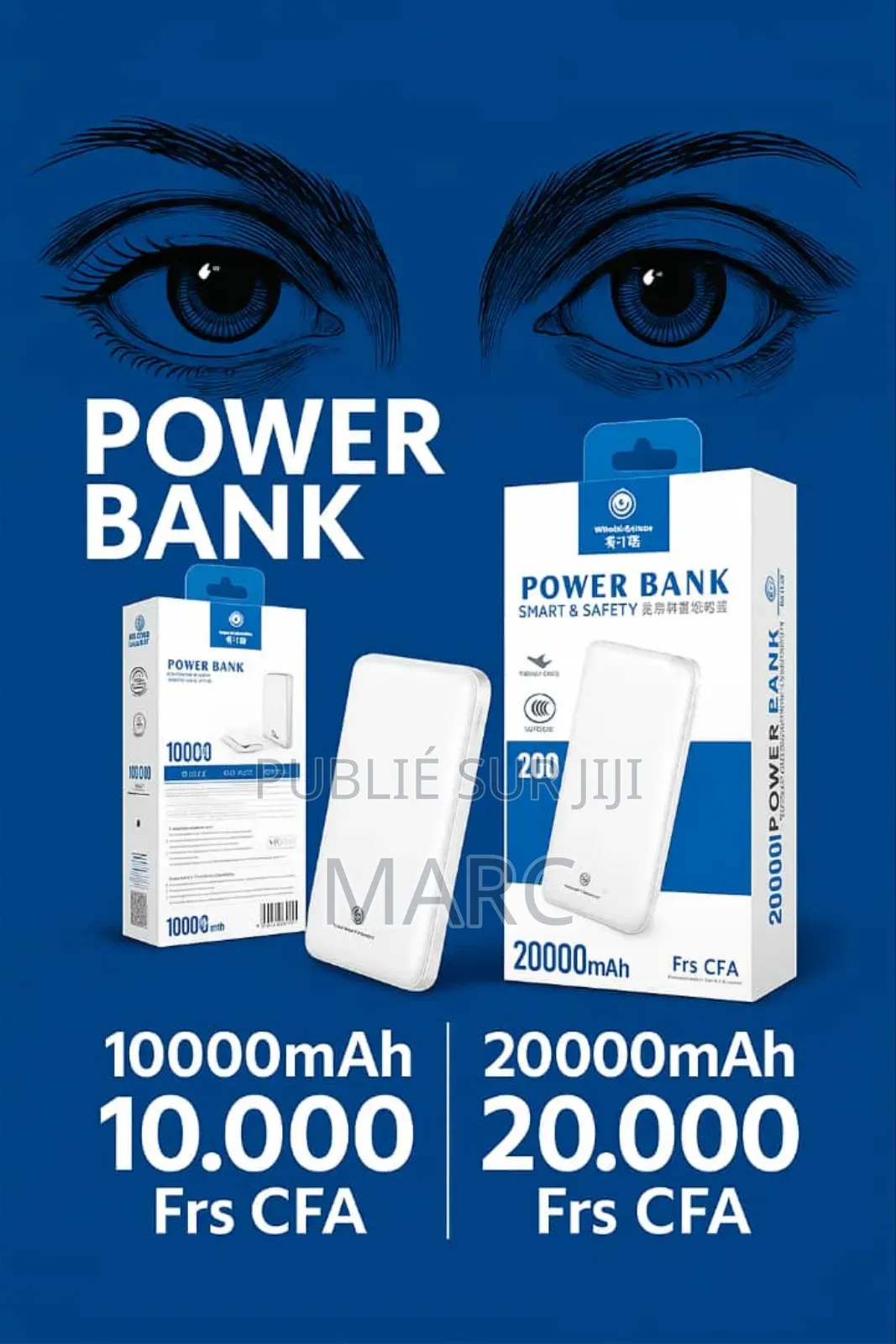 Power Bank Universel