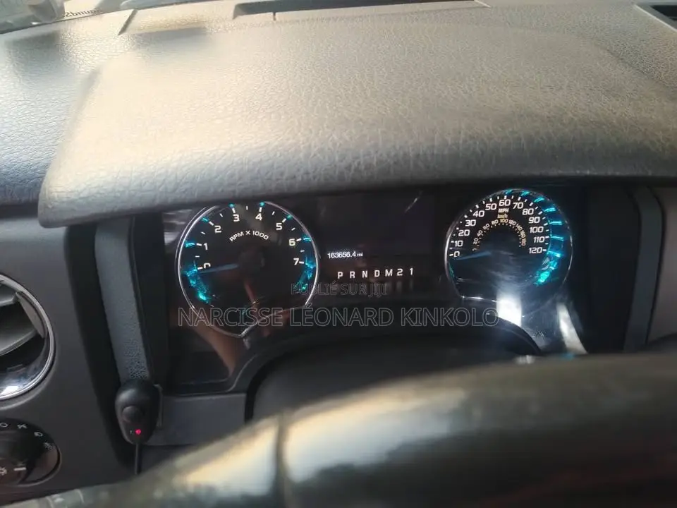 Ford F-150 2013 Gris