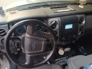 Ford F-150 2013 Gris