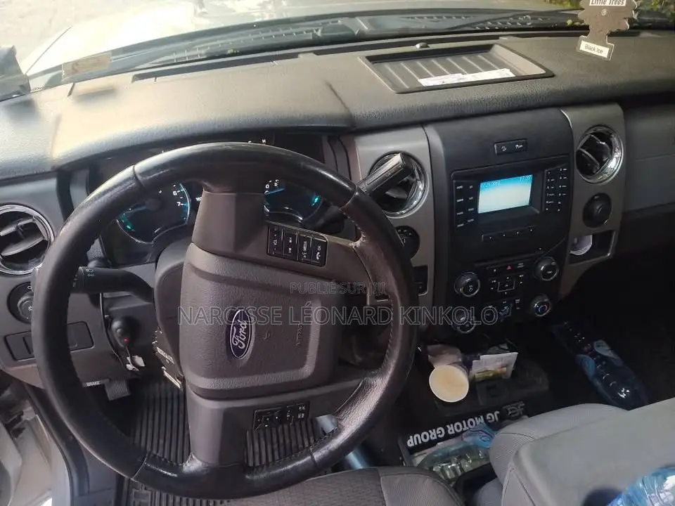 Ford F-150 2013 Gris