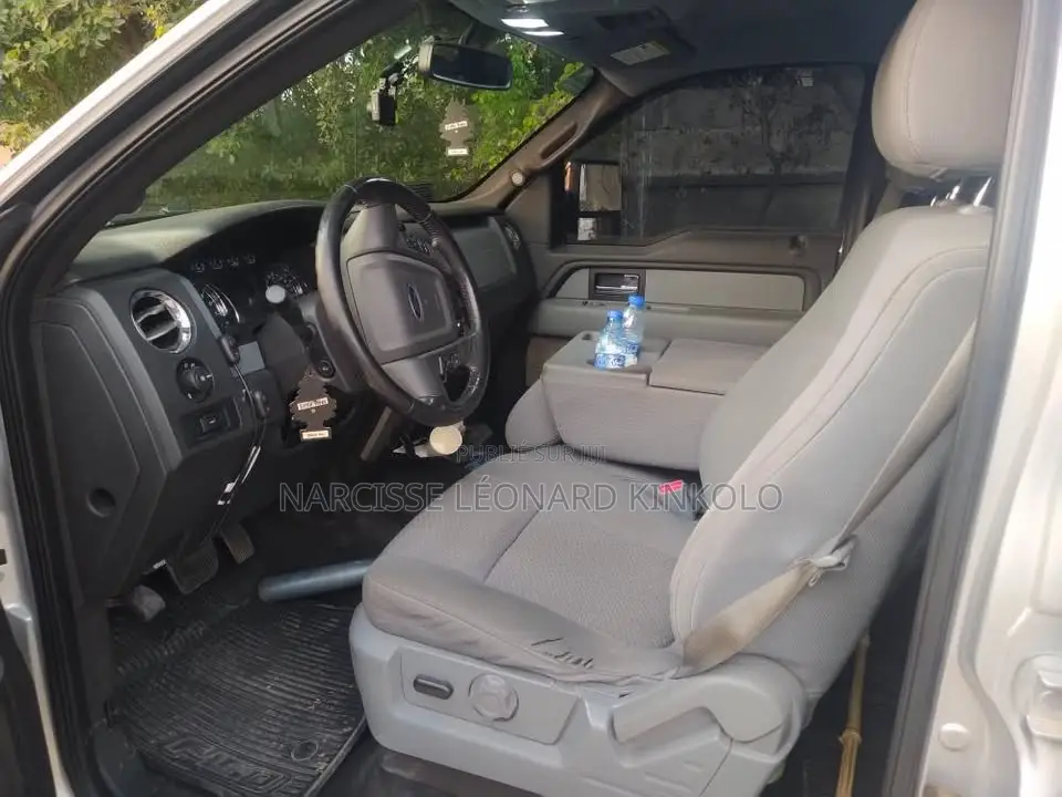 Ford F-150 2013 Gris