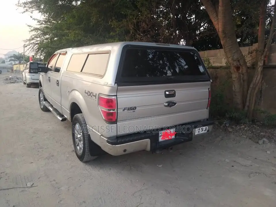Ford F-150 2013 Gris