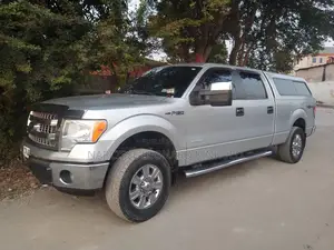 Ford F-150 2013 Gris