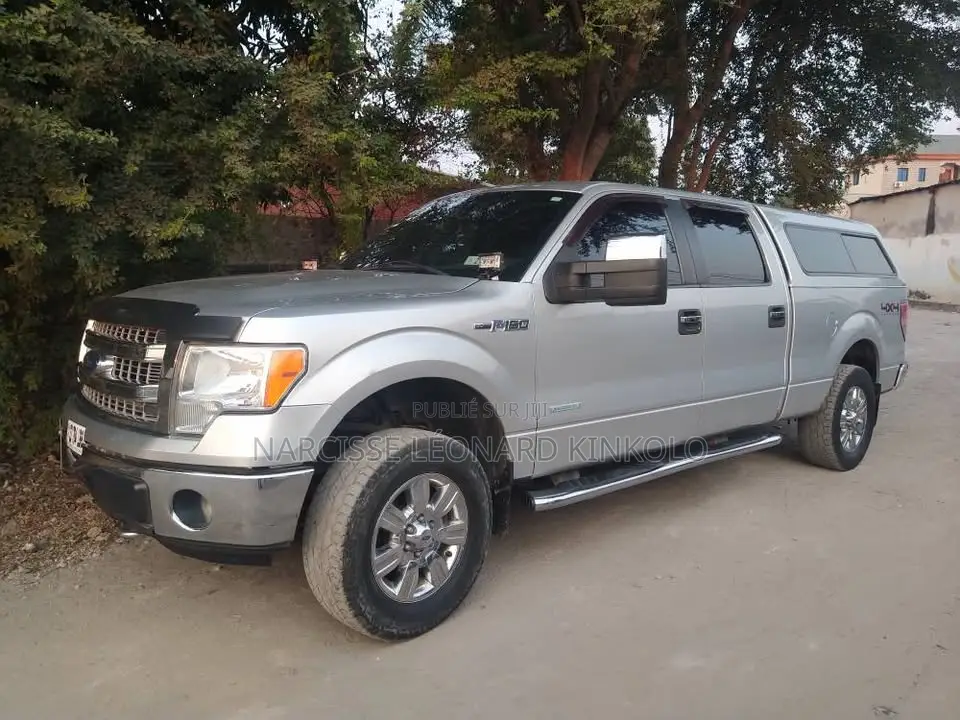 Ford F-150 2013 Gris