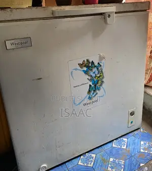 Coque Congélateur 250l