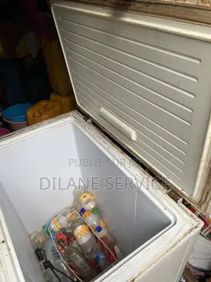 Coque Congélateur 250l