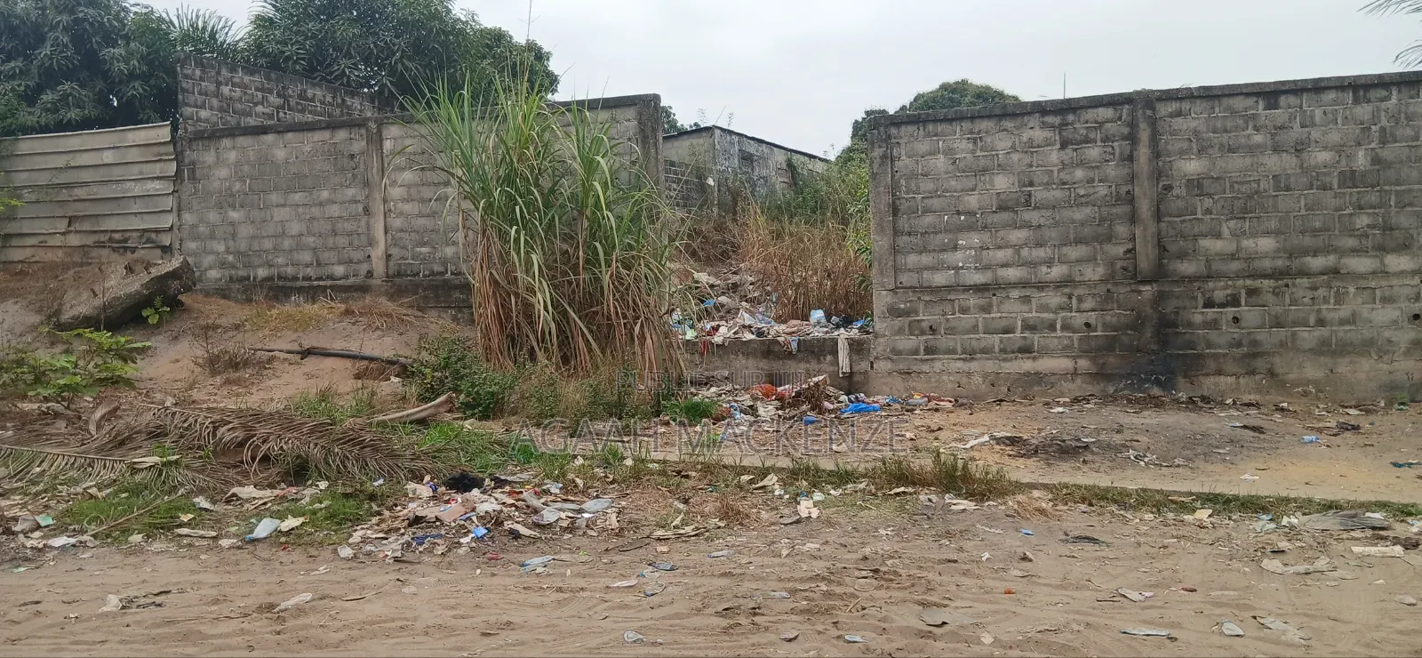 Terrain Nu Au Cité Elf