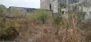 Terrain Nu Au Cité Elf