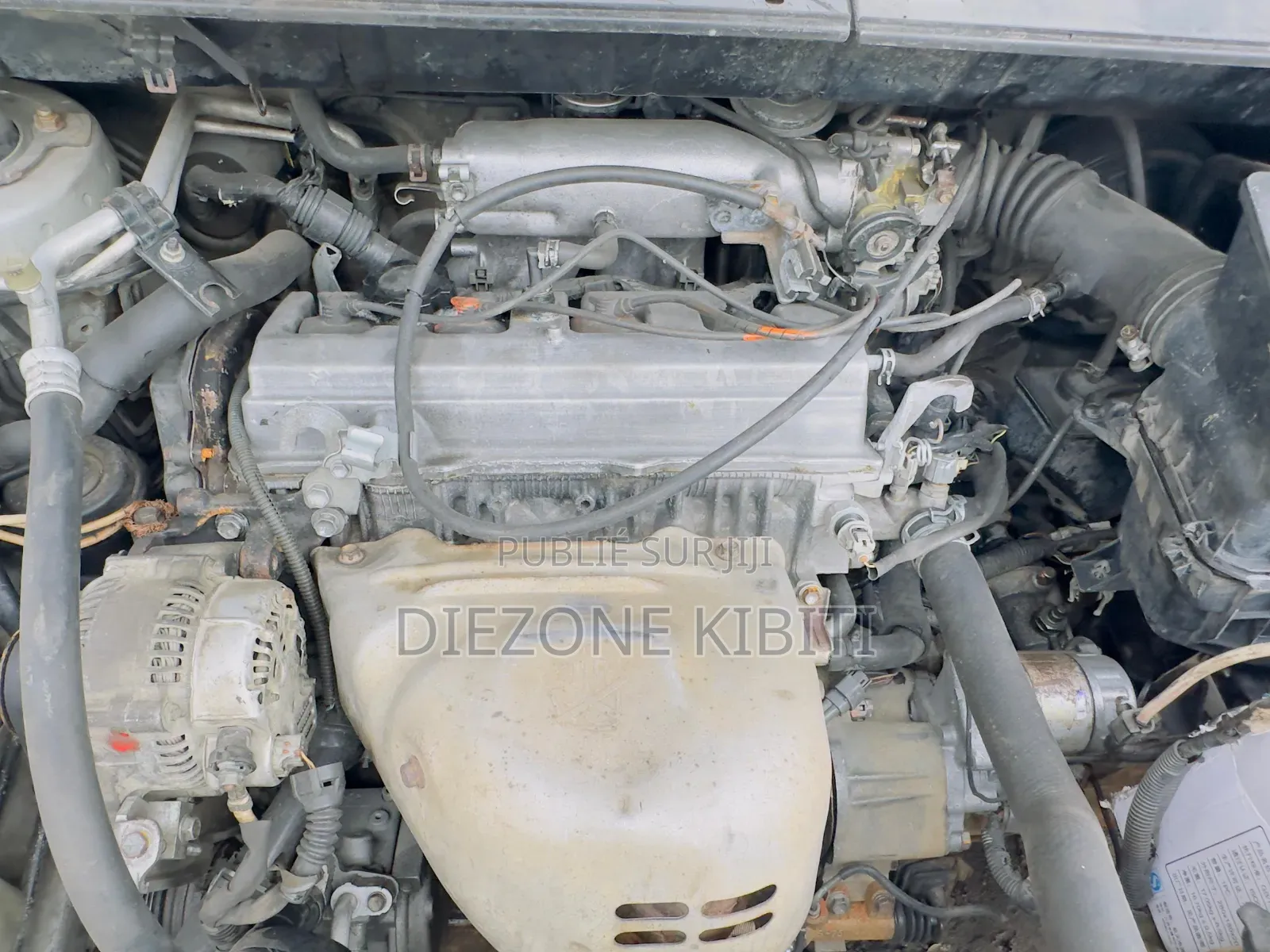 Nouveau Toyota Corolla LE 2026 Vert