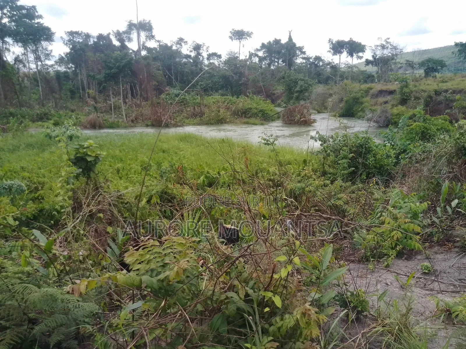 Domaine De 3 Hectares