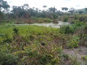 Domaine De 3 Hectares